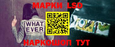 ECSTASY Моздок